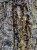 IMG_3034.jpeg