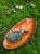 IMG_4672.jpeg