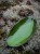 IMG_4675.jpeg