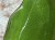 IMG_4694.jpeg