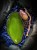 IMG_4704.jpeg